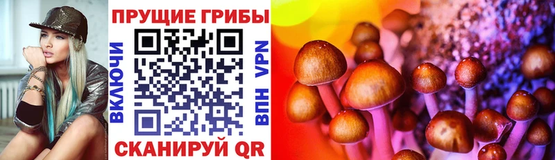 Псилоцибиновые грибы прущие грибы Краснокаменск